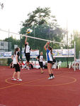 IMG 7252